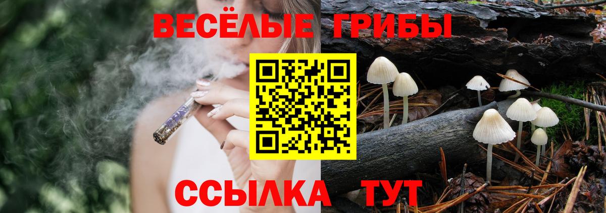 Псилоцибиновые грибы Psilocybine cubensis Югорск